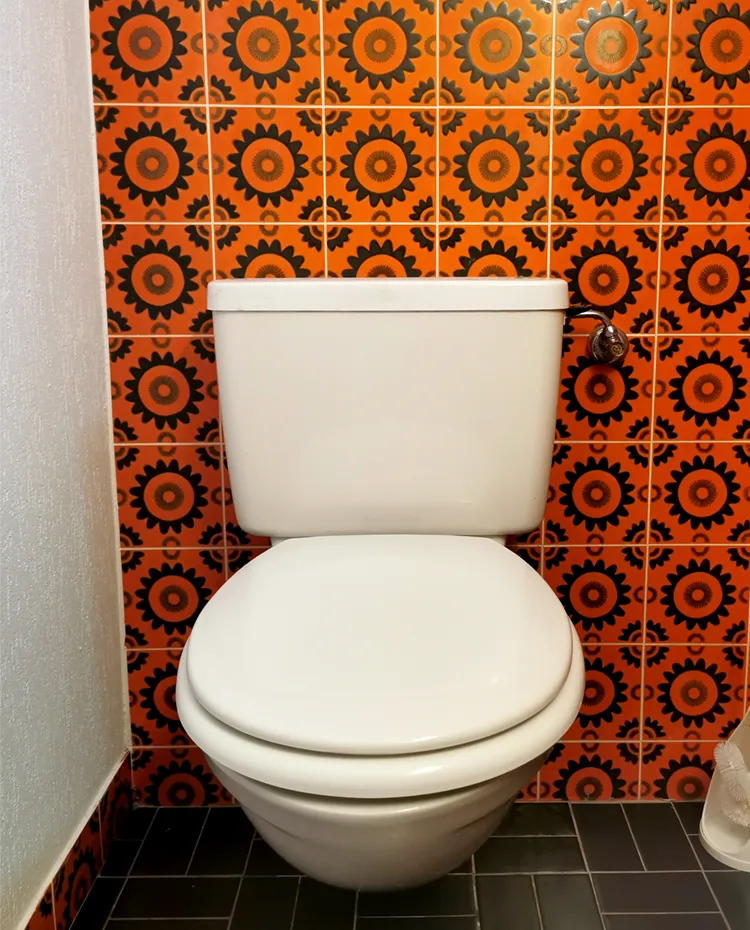 WC Austausch vorher WC Austausch vorher
